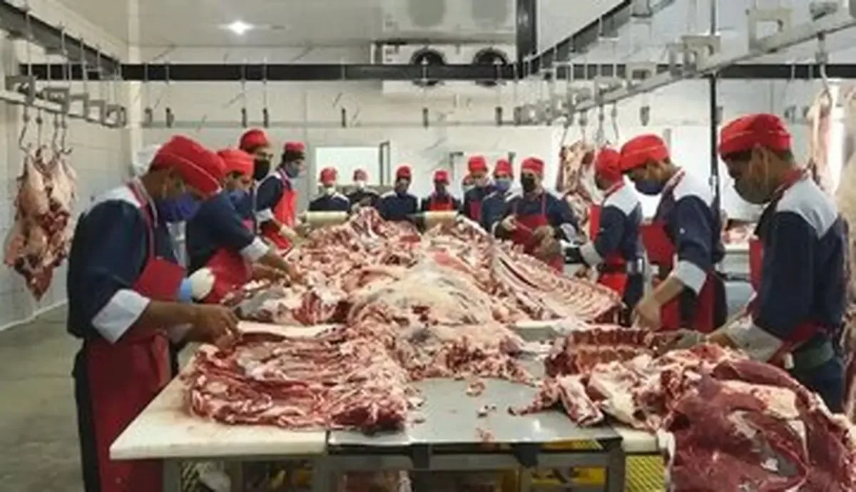قیمت واقعی دام زنده امروز ۷۰۰ تا ۷۱۰ هزار تومان است / معاملات غیرنقدی و فضای مجازی قیمت ها را مصنوعی بالا میبرد