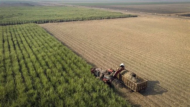 تصویب ۱۶۰ طرح تولیدی کشاورزی خراسان شمالی برای توسعه سرمایهگذاری