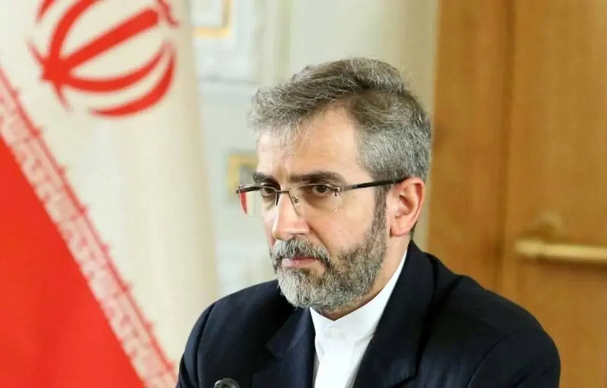 باقریکنی: کشورهای منطقه راهی جز همکاری برای تأمین امنیت ندارند