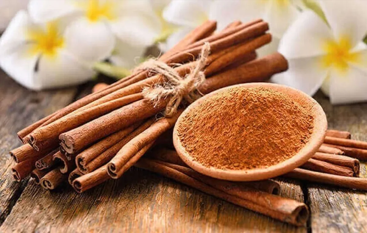 این ادویه محبوب حافظهتان را تقویت میکند؛ چطور و چقدر مصرف کنیم؟
