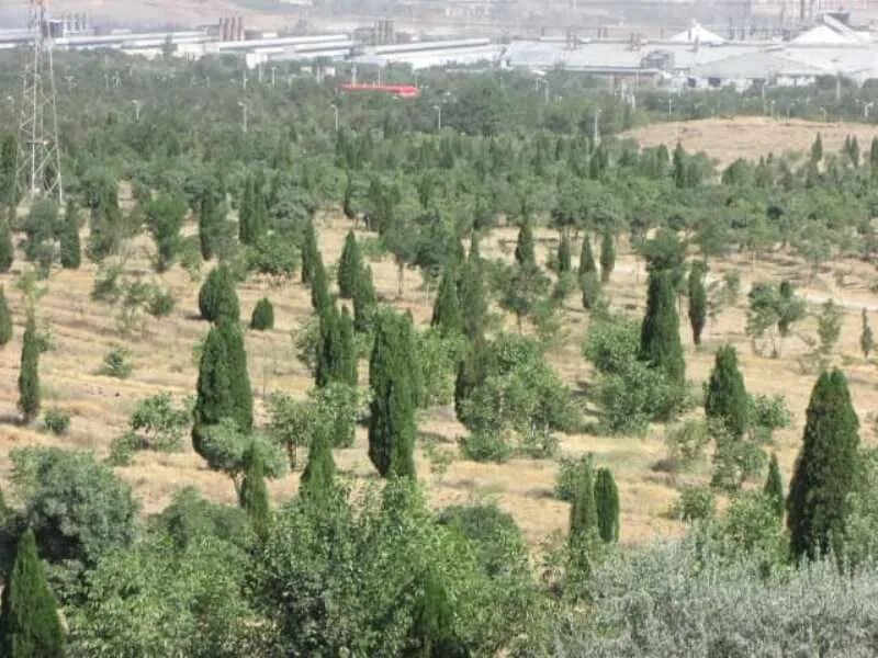 منابع طبیعی بوشهر آماده واگذاری مدیریت هشت پارک جنگلی به بخش خصوصی است