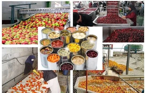 صنایع تبدیلی چهارمحال و بختیاری در مسیر توسعه سرمایه‌گذاری
