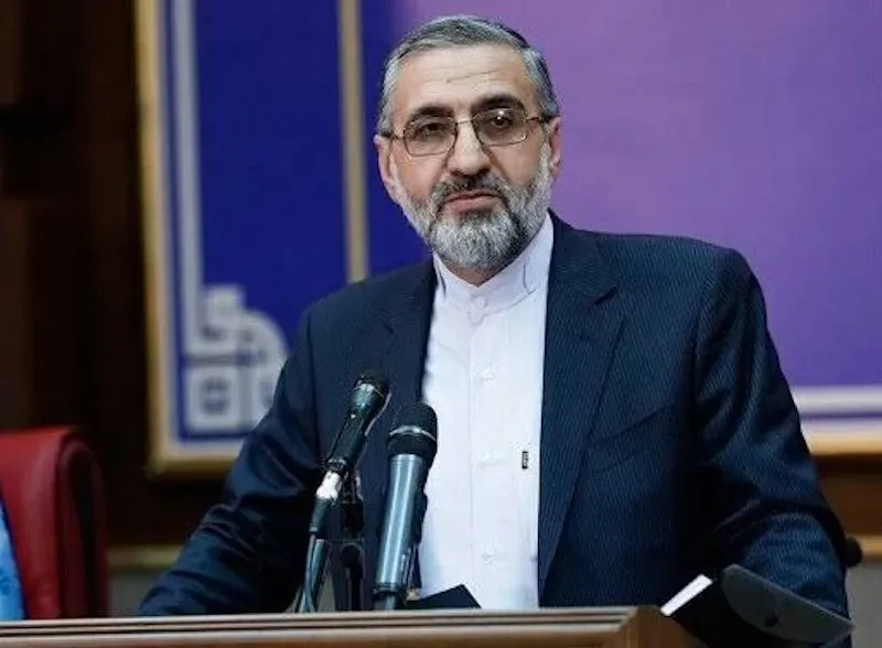 واکنش اسماعیلی به احتمال ترور شهید رئیسی