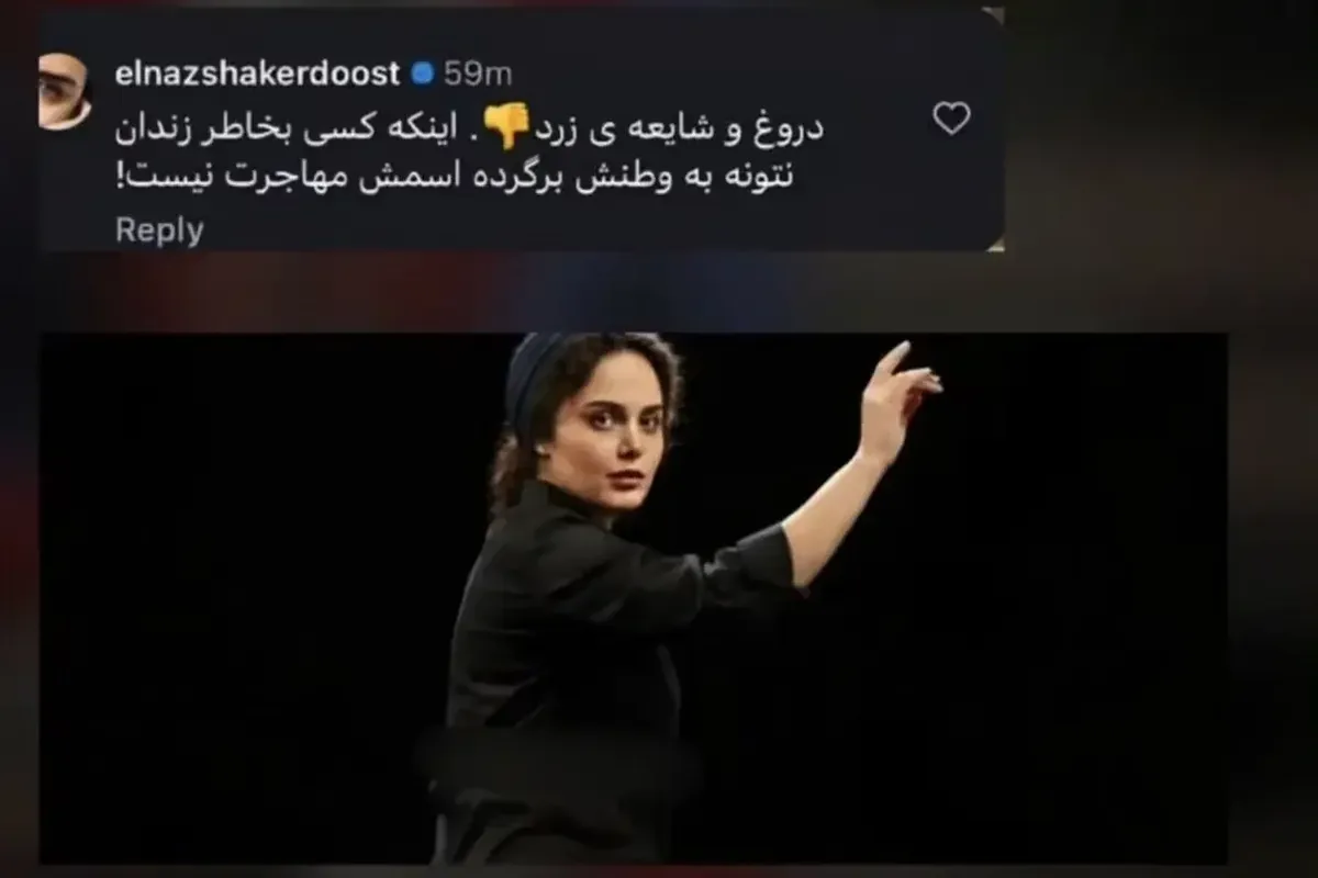 الناز شاکردوست: حکم زندان مانع بازگشتم به ایران است