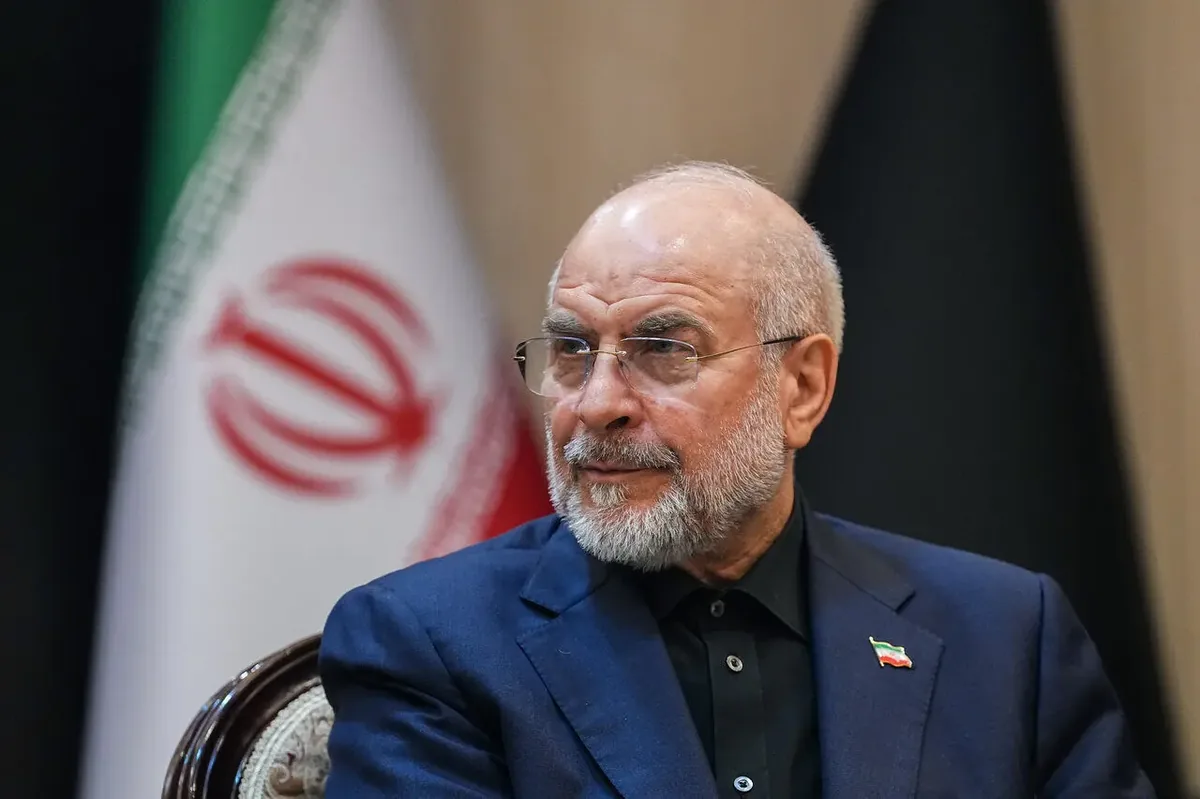 قالیباف در نشست روسای مجالس اعضای بریکس شرکت نمیکند