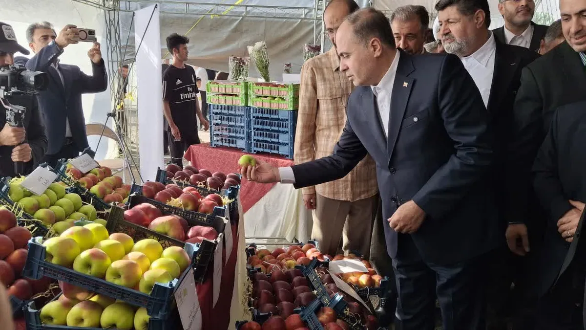 چهارمین جشنواره سیب دماوند با حضور وزیر جهاد کشاورزی آغاز شد