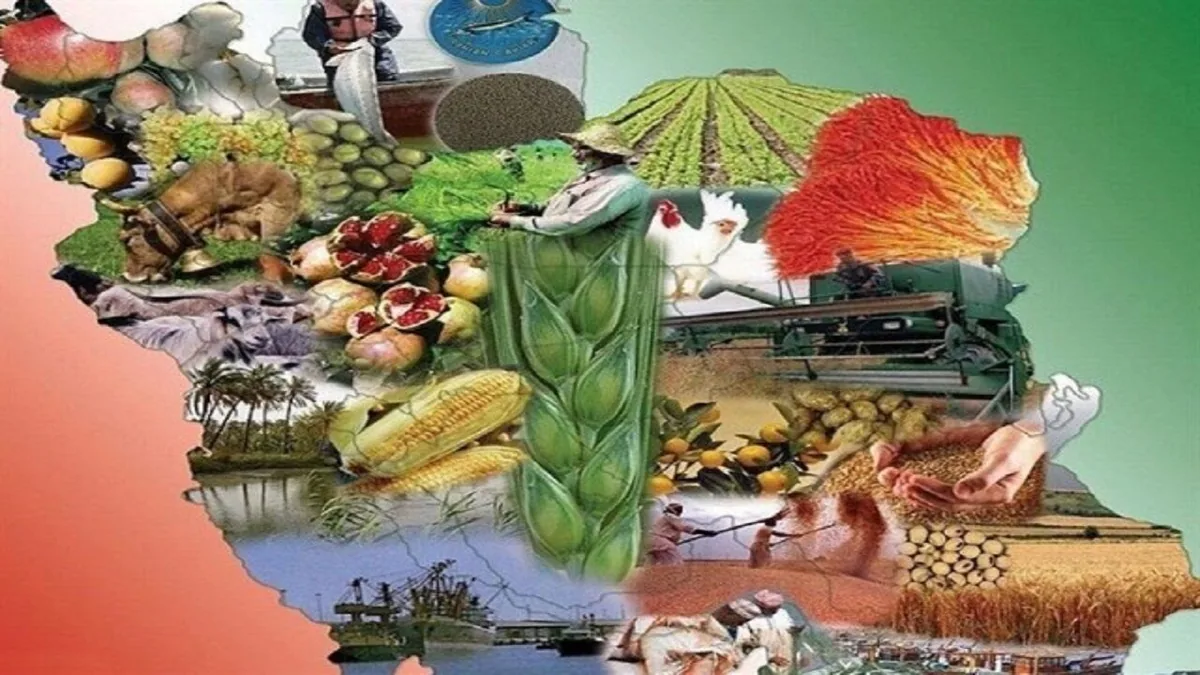 یک مسوول: حمایت هدفمند از قدرت خرید خانوار از الزامات افزایش تابآوری غذایی است