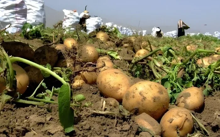 اخبار کوتاه از غرب اصفهان