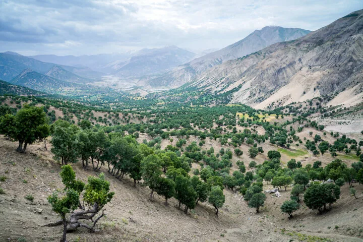 آموزش، فرهنگ‌سازی و پرچمداری عشایر در حفاظت از محیط زیست