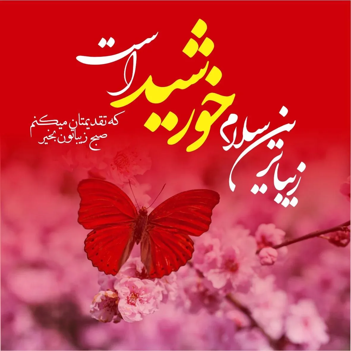 صبح بخیر باکلاس عاشقانه 