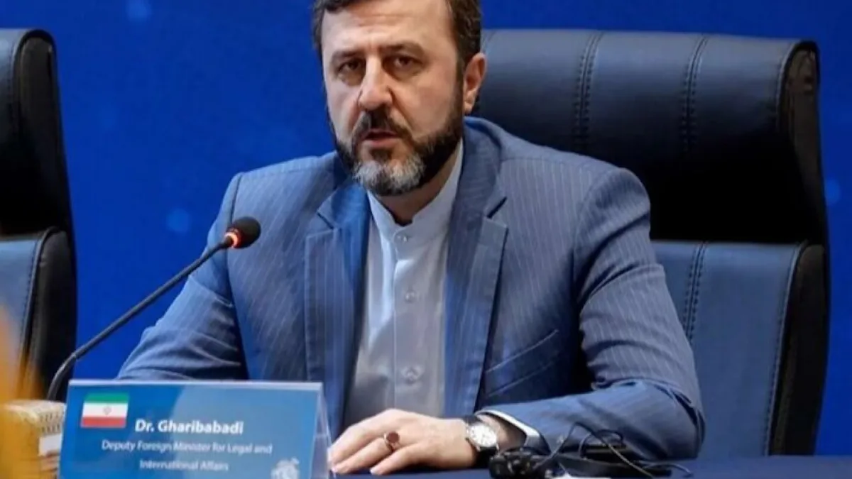 غریبآبادی: کاهش سطح آب، مهمترین معضل زیستمحیطی دریای خزر است
