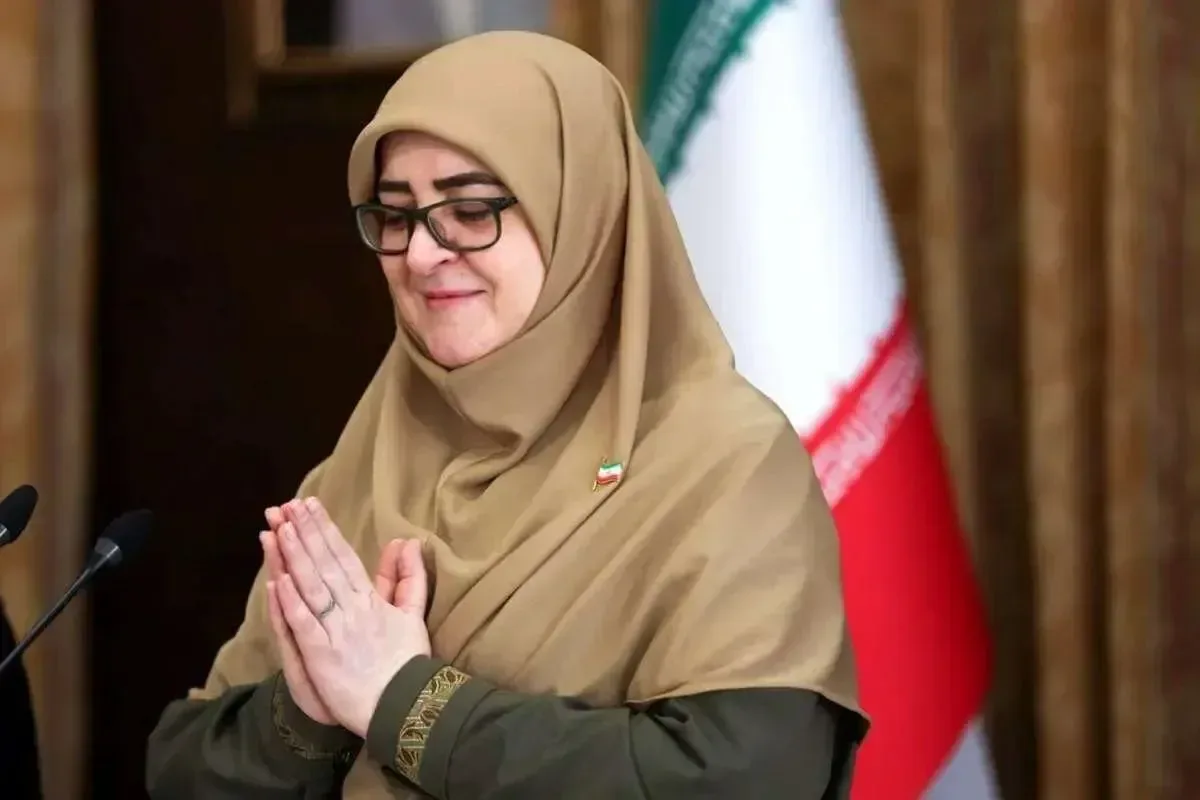 کنایه سنگین سخنگوی دولت به واشینگتن / تاریخ ایران با تحریف پاک نمیشود