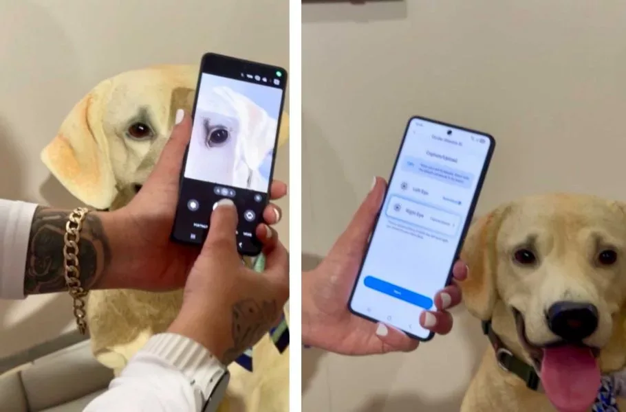 سامسونگ با قابلیت Pet Care، تشخیص بیماری حیوان خانگی را تنها با یک عکس ممکن کرد