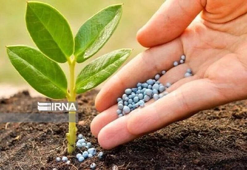 تکلیف جدید شرکت خدمات حمایتی در راهبری زنجیره تامین و اجرای طرح خودکفایی کودهای شیمیایی