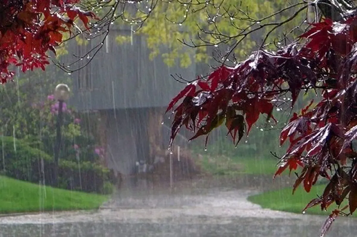 تداوم باران و رعد و برق دربرخی استان ها