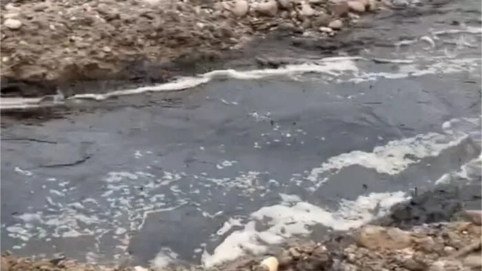 شیرابه بلای جان هیرکانی
