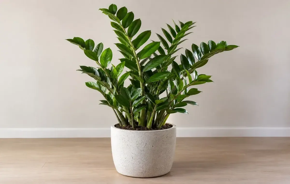 گل برای دفتر کار