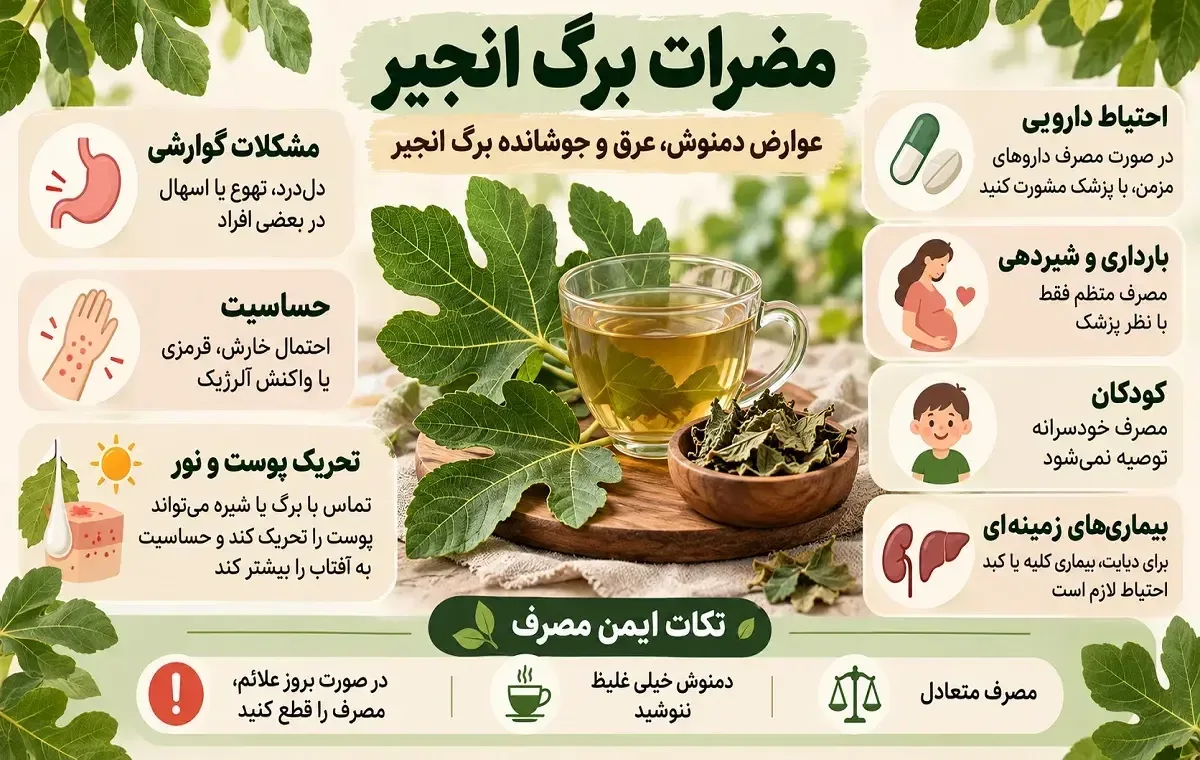 مضرات برگ انجیر