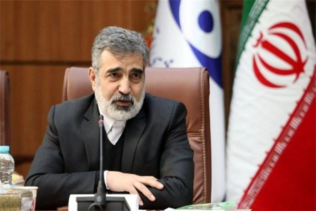کمالوندی: صنعت هستهای ایران به بلوغ کامل رسیده است