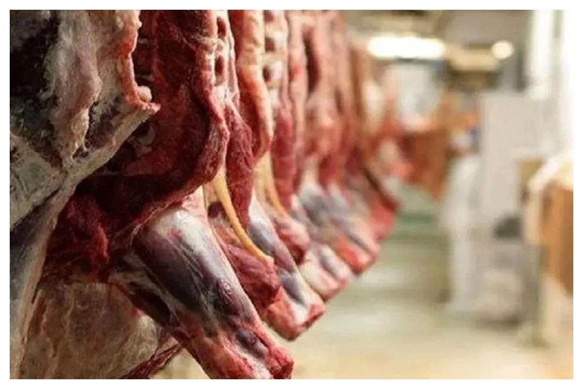 در بازار گوشت قیمتسازی شده است/ هر کسی به قیمت دلخواه خود گوشت قرمز را میفروشد