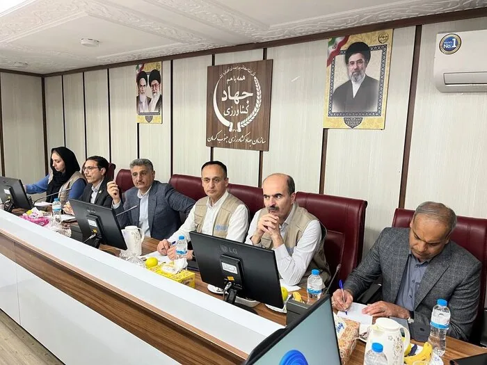 تاکید نماینده فائو بر تکمیل زنجیره ارزش خرما و مقابله با سرخرطومی حنایی در جنوب کرمان