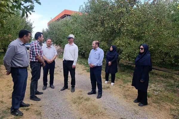 برنامهریزی برای مهار لکه سیاه سیب در مراغه