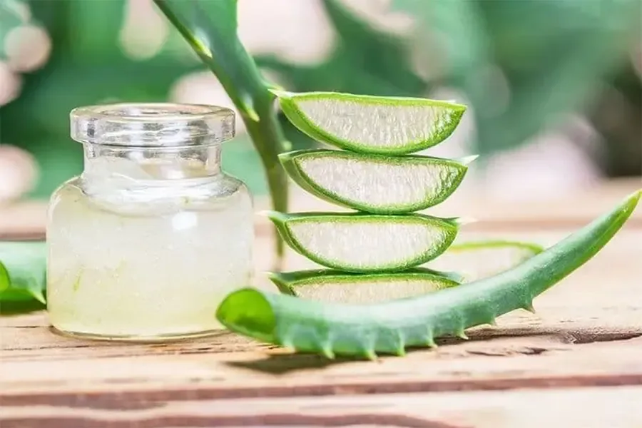 آیا میتوان هر روز از ژل آلوئهورا برای صورت استفاده کرد؟