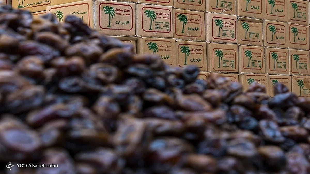انباشت خرما در سردخانهها؛ در انتظار رفع موانع تجاری و تسهیل صادرات