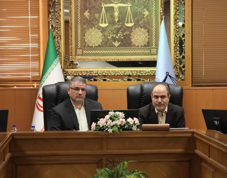 تأکید رئیس سازمان پزشکی قانونی بر راهاندازی هرچه سریعتر نرمافزار تخصصی