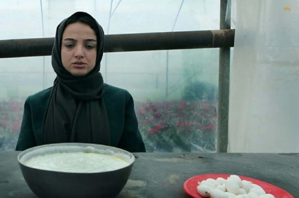 ندا جبرائیلی در کارت پرواز