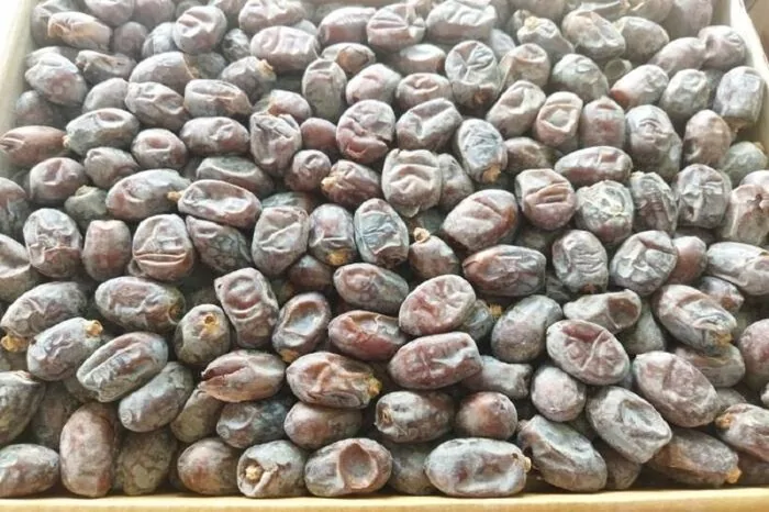 خرمای کریته؛ طلای شیرین «رودخانه» در مسیر بازارهای جهانی