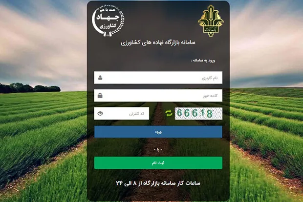 امکان خرید سهمیه ذرت و کنجاله سویای تابستان توسط دامداران و مرغداران فراهم شد