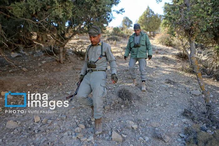 نگهبانان بی پناه کوهستان