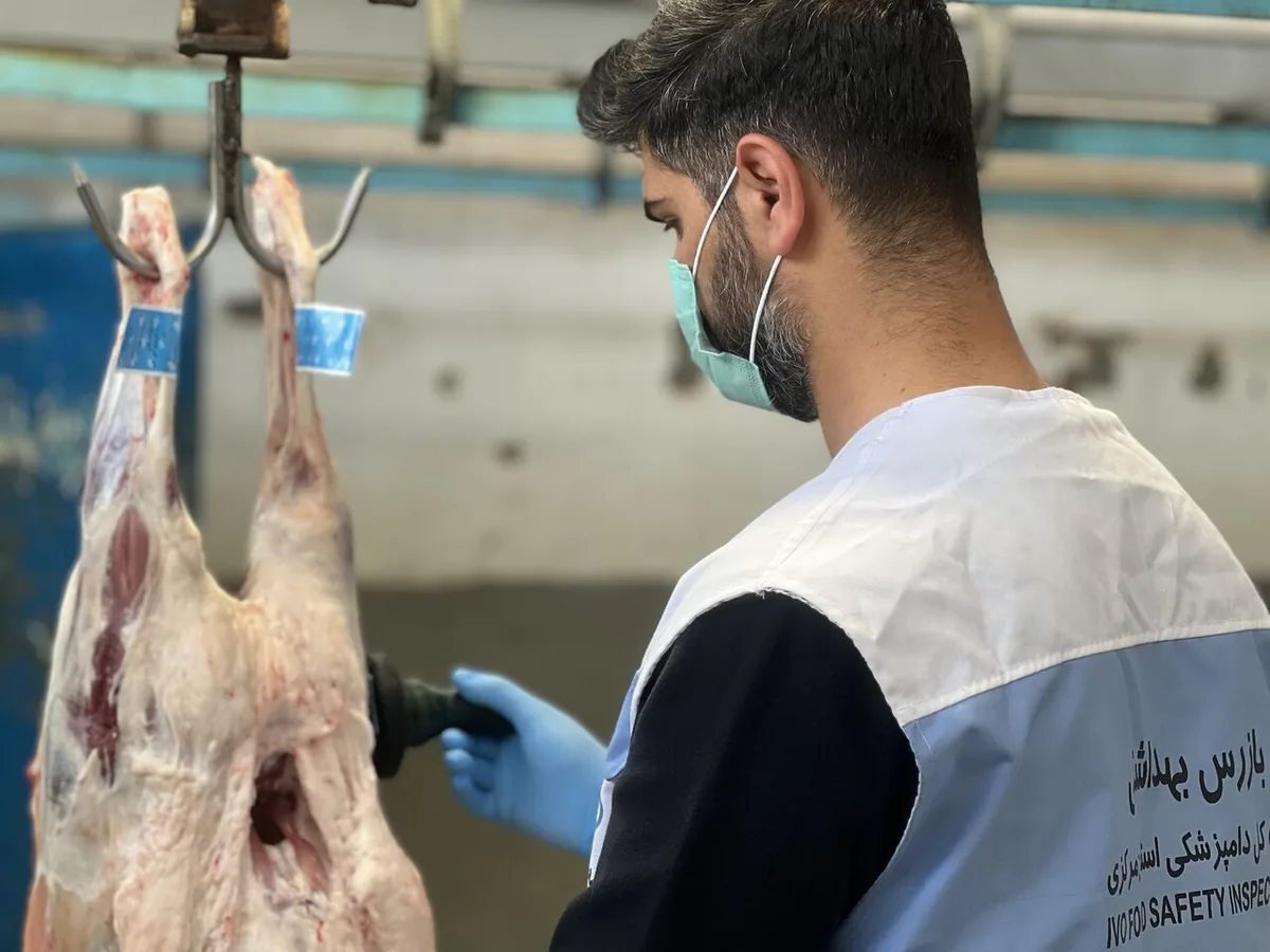 دامپزشکی چهارمحال و بختیاری بر کنترل بیماریهای مشترک تمرکز دارد