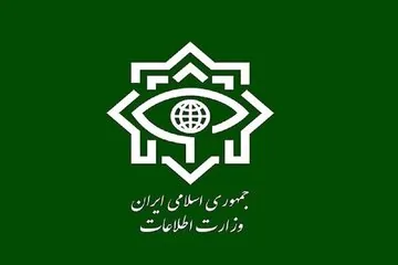 بازداشت ۲ عضو تیم قاچاق سلاح جنگی در غرب ایران/ ۱۰۹ قبضه سلاح کشف شد