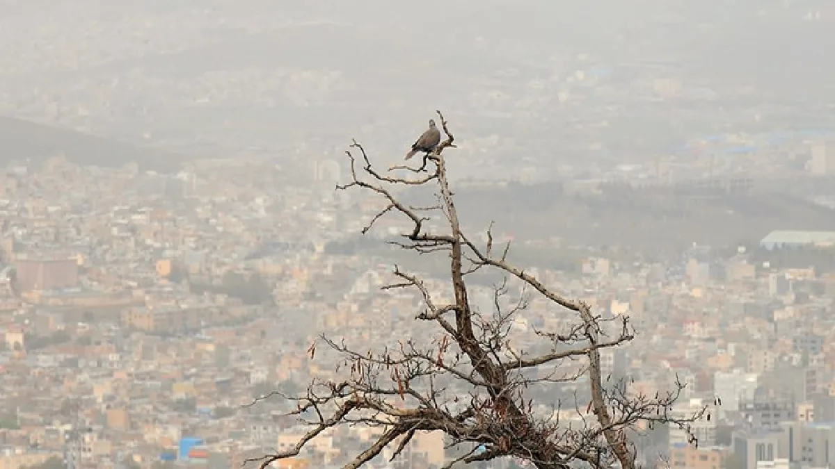 ثبت هوای آلوده در ۱۱ شهر خوزستان