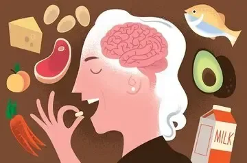 این خوراکیها را بخورید تا آلزایمر نگیرید