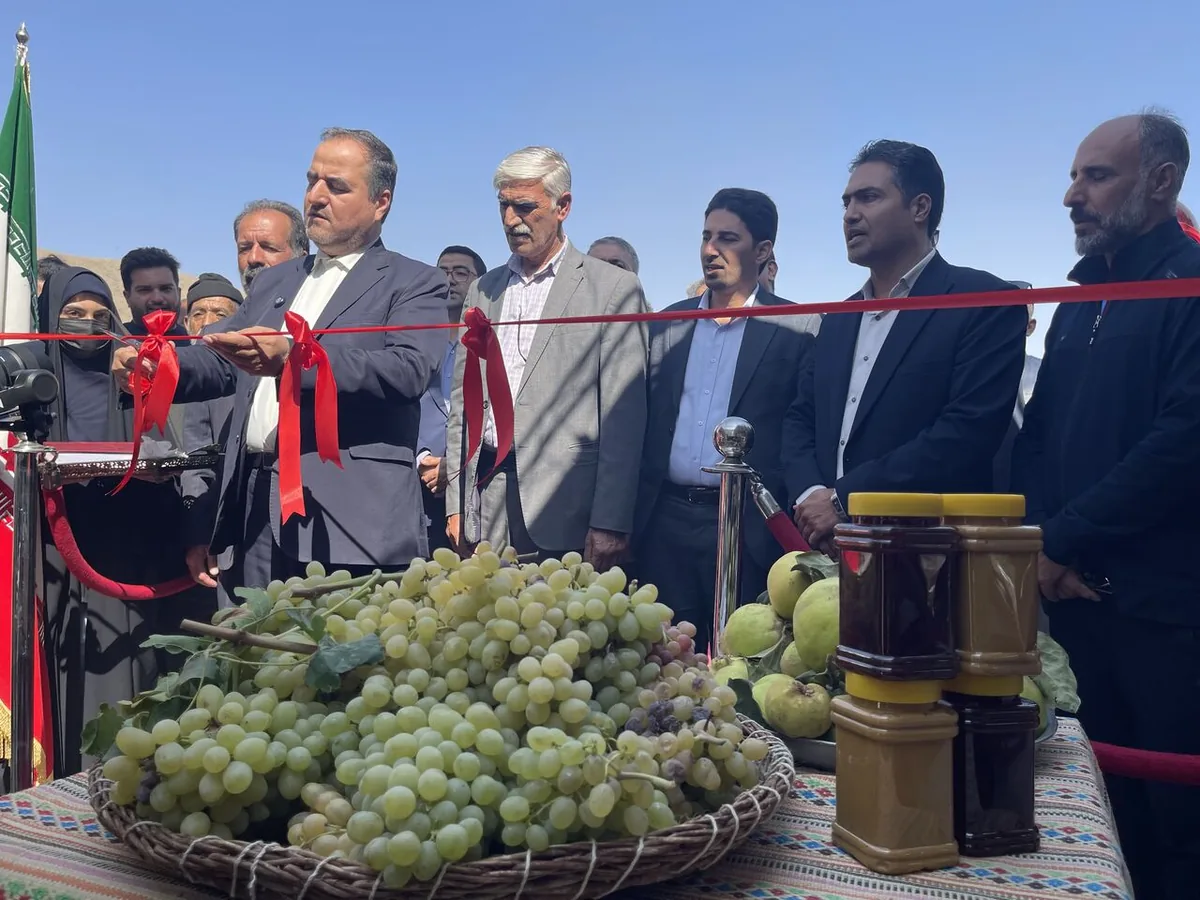 سیزدهمین جشنواره انگور هزاوه شهرستان اراک گشایش یافت