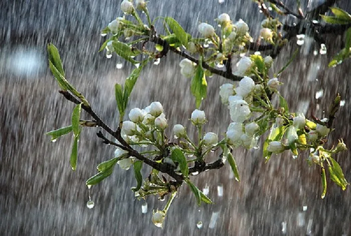 هوای مازندران بارانی می‌شود