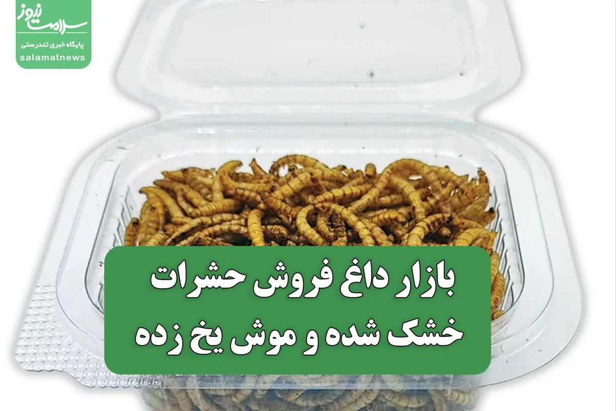 بازار داغ فروش حشرات خشک شده و موش یخ زده