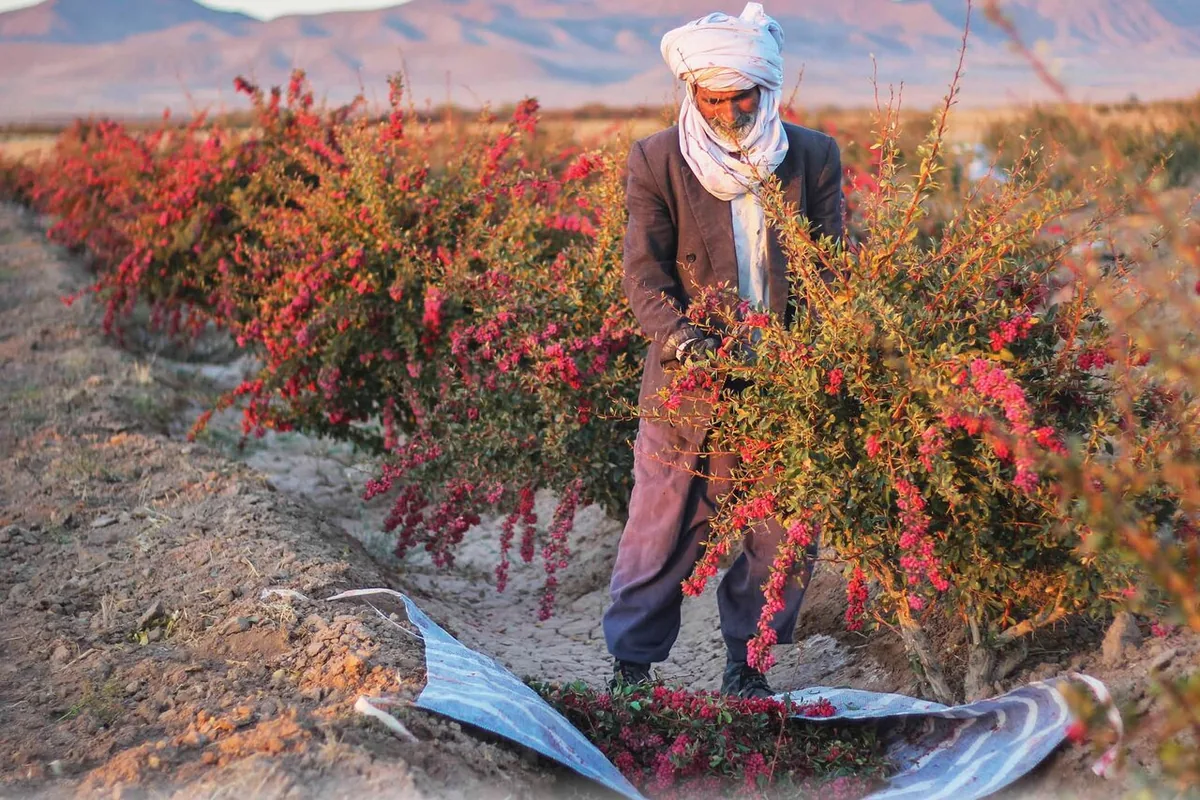 ۷ مقصد پاییزی شگفت‌انگیز ایران که حال‌وهوای سفرتان را عوض می‌کنند