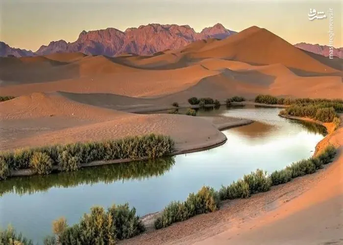 تصویری زیبا از تالاب پساب یزد